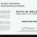 Rümeysa Biçer — Klinik Psikolog