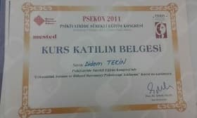 Dr. Didem Tekin Meriç — Uzman Psikolog