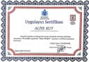 Aliye Kut