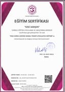 Ezgi Sarışen