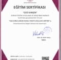 Ezgi Sarışen — Uzm. Psk.