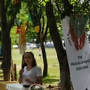 Gizem Arsal